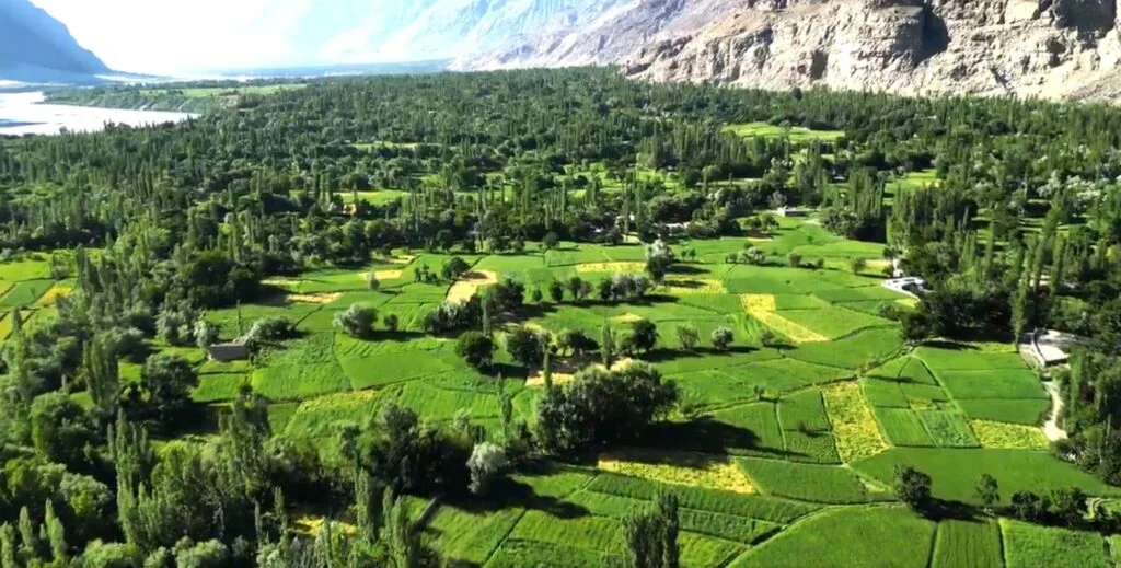 Kachura Lake & Resort Holiday